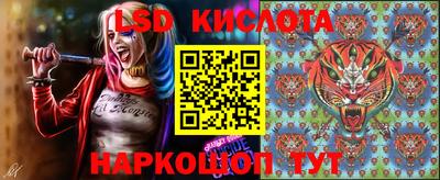 ПСИЛОЦИБИНОВЫЕ ГРИБЫ Гусев
