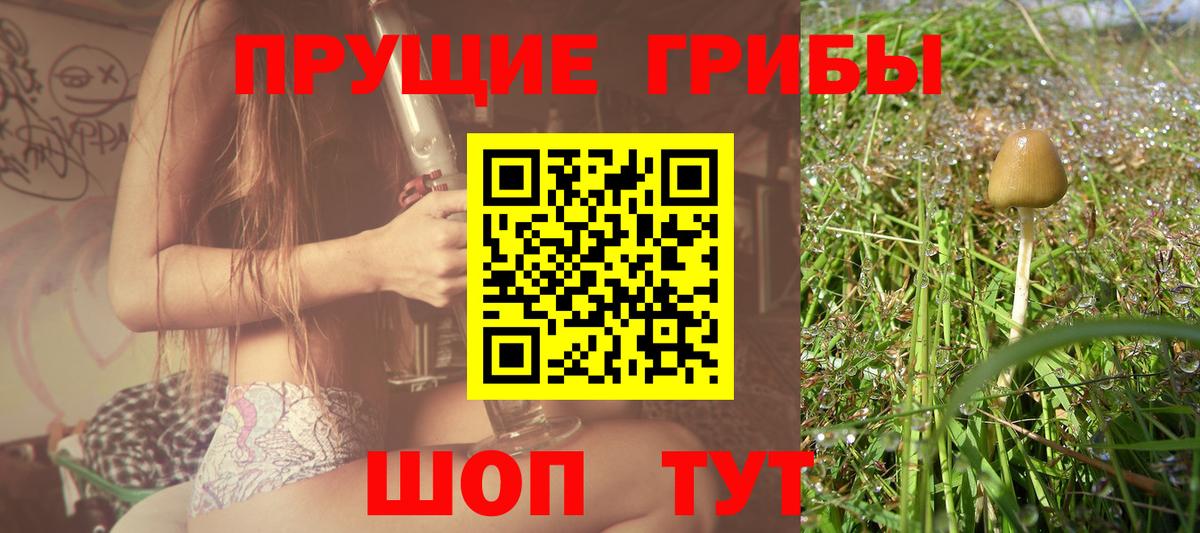 Камышлов  Галлюциногенные грибы ЛСД  Псилоцибиновые грибы мицелий  Вход с VPN 