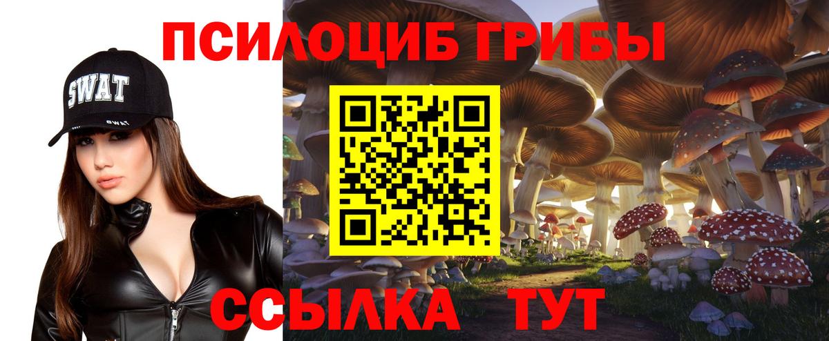 Псилоцибиновые грибы MAGIC MUSHROOMS Камышлов