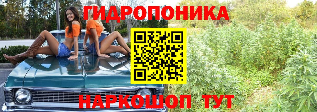 Меф кристаллы  Камышлов  Каннабис  COCAIN  КЕТАМИН  Вход с VPN  Где купить  Героин  Гашиш  ТГК 